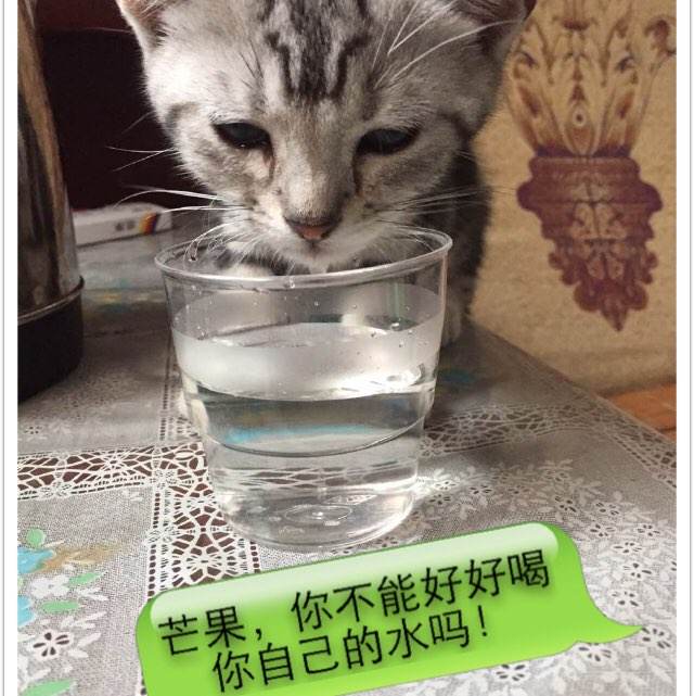 玛丽安大学文凭毕业证怎么制作